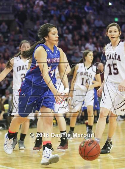 Thumbnail 2 in Idalia vs. Briggsdale (CHSAA 1A Final) photogallery.