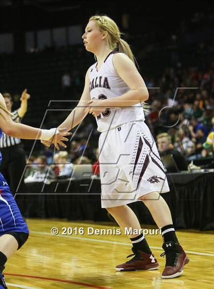 Thumbnail 3 in Idalia vs. Briggsdale (CHSAA 1A Final) photogallery.