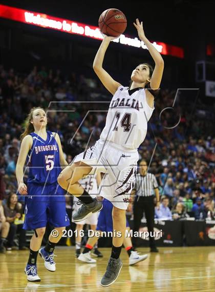 Thumbnail 2 in Idalia vs. Briggsdale (CHSAA 1A Final) photogallery.