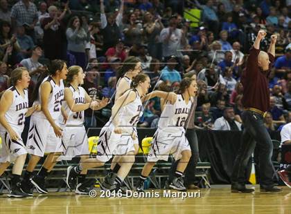 Thumbnail 1 in Idalia vs. Briggsdale (CHSAA 1A Final) photogallery.