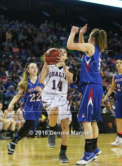 Thumbnail 3 in Idalia vs. Briggsdale (CHSAA 1A Final) photogallery.