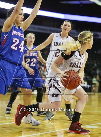 Thumbnail 3 in Idalia vs. Briggsdale (CHSAA 1A Final) photogallery.