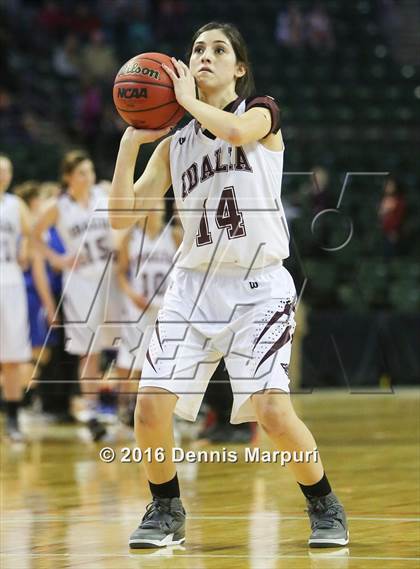 Thumbnail 3 in Idalia vs. Briggsdale (CHSAA 1A Final) photogallery.