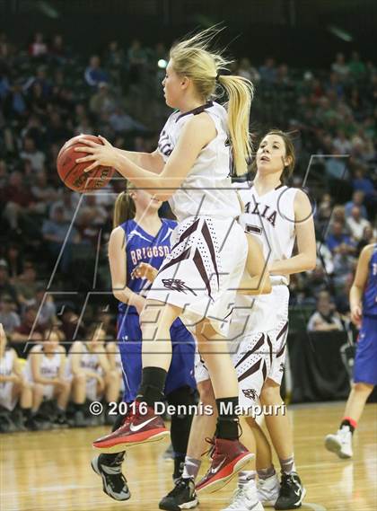 Thumbnail 1 in Idalia vs. Briggsdale (CHSAA 1A Final) photogallery.