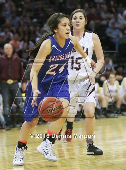 Thumbnail 1 in Idalia vs. Briggsdale (CHSAA 1A Final) photogallery.