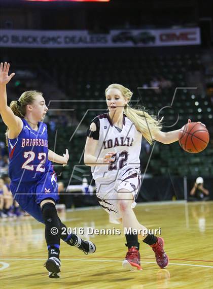 Thumbnail 2 in Idalia vs. Briggsdale (CHSAA 1A Final) photogallery.