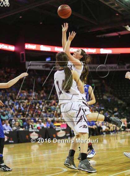Thumbnail 2 in Idalia vs. Briggsdale (CHSAA 1A Final) photogallery.