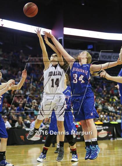 Thumbnail 1 in Idalia vs. Briggsdale (CHSAA 1A Final) photogallery.