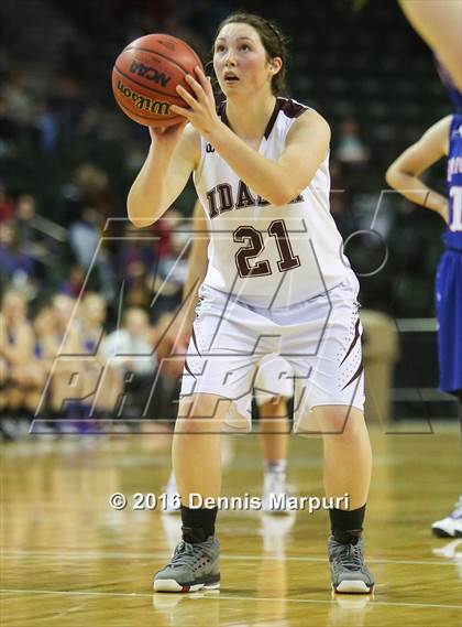 Thumbnail 1 in Idalia vs. Briggsdale (CHSAA 1A Final) photogallery.
