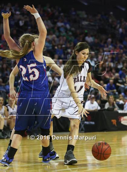 Thumbnail 1 in Idalia vs. Briggsdale (CHSAA 1A Final) photogallery.