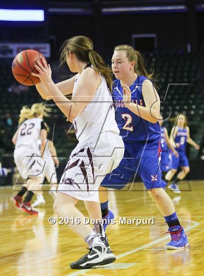 Thumbnail 1 in Idalia vs. Briggsdale (CHSAA 1A Final) photogallery.