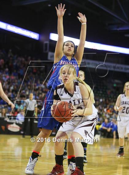 Thumbnail 1 in Idalia vs. Briggsdale (CHSAA 1A Final) photogallery.
