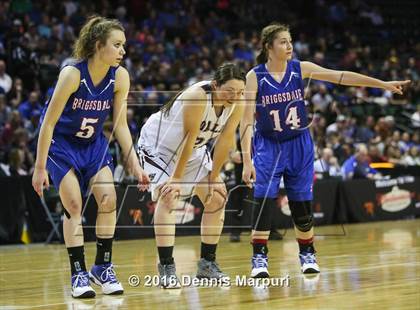 Thumbnail 2 in Idalia vs. Briggsdale (CHSAA 1A Final) photogallery.