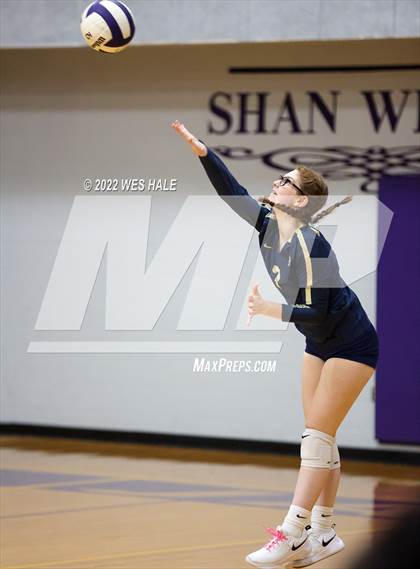 Thumbnail 3 in Arlington @ DeSoto Central photogallery.