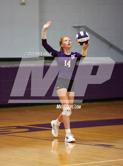 Thumbnail 1 in Arlington @ DeSoto Central photogallery.