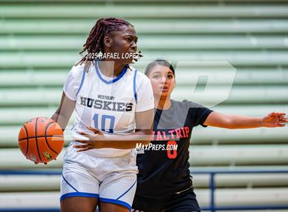 Thumbnail 2 in Waltrip @ Westbury photogallery.