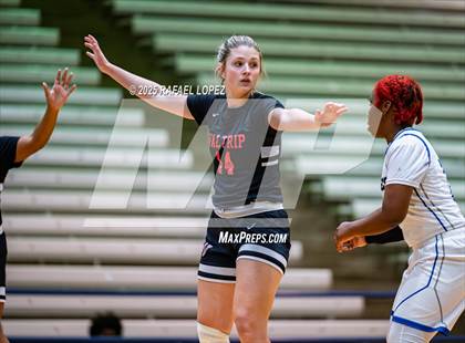 Thumbnail 2 in Waltrip @ Westbury photogallery.