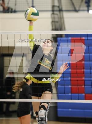 Wood River vs Lakeland (4A State Tournament)