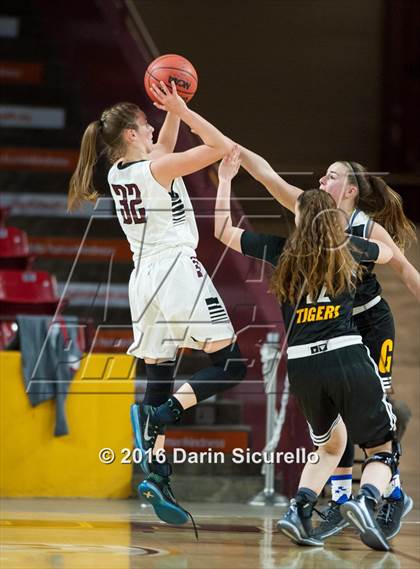 Thumbnail 2 in Gilbert vs. Hamilton (AIA D1 Quarterfinal)  photogallery.