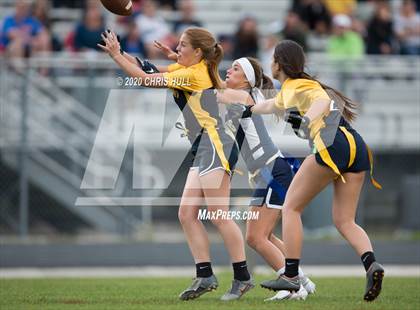 Thumbnail 1 in Alonso vs Steinbrenner photogallery.