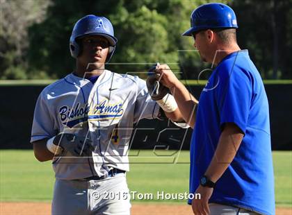 Thumbnail 2 in La Salle vs Bishop Amat photogallery.