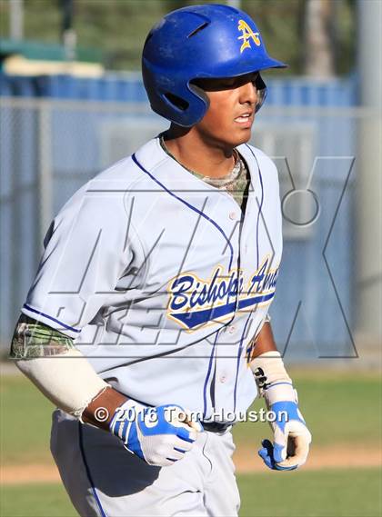 Thumbnail 3 in La Salle vs Bishop Amat photogallery.