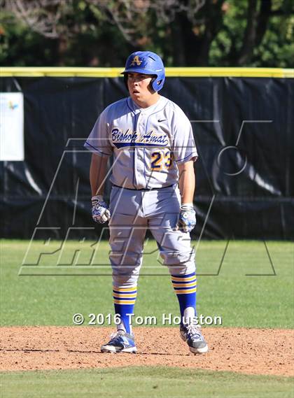 Thumbnail 2 in La Salle vs Bishop Amat photogallery.