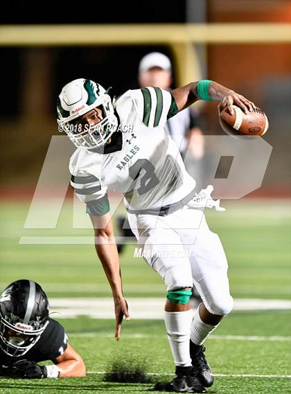 Thumbnail 2 in Ellison @ Vandegrift photogallery.