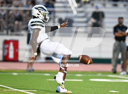 Thumbnail 1 in Ellison @ Vandegrift photogallery.
