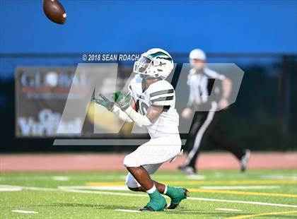 Thumbnail 2 in Ellison @ Vandegrift photogallery.