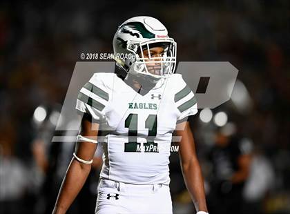 Thumbnail 2 in Ellison @ Vandegrift photogallery.