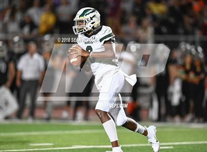 Thumbnail 2 in Ellison @ Vandegrift photogallery.