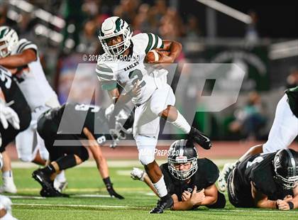 Thumbnail 3 in Ellison @ Vandegrift photogallery.