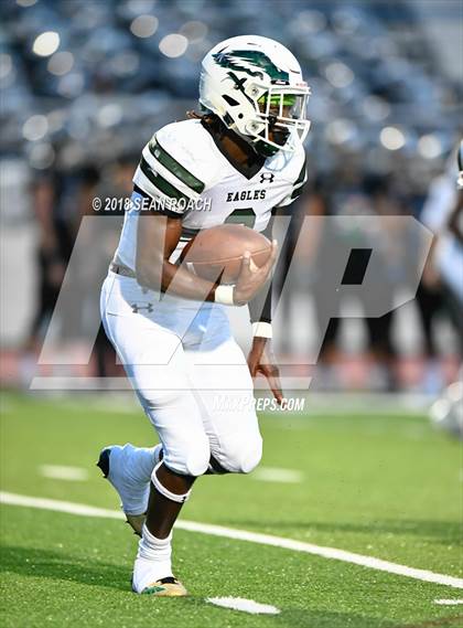 Thumbnail 2 in Ellison @ Vandegrift photogallery.