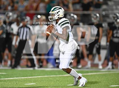 Thumbnail 3 in Ellison @ Vandegrift photogallery.