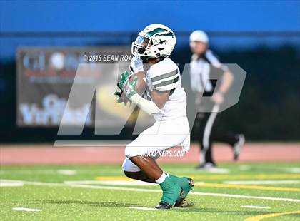 Thumbnail 3 in Ellison @ Vandegrift photogallery.