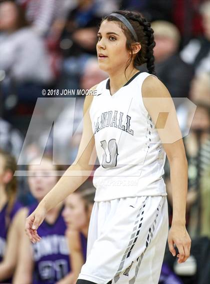 Thumbnail 1 in Randall vs Canyon (UIL 5A Quarterfinal) photogallery.