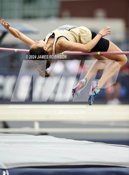 Thumbnail 1 in FHSAA 4A Finals (Highjump) photogallery.