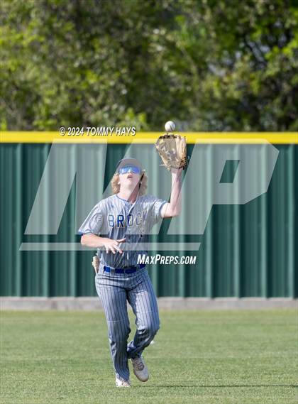 Thumbnail 1 in Brock @ Peaster photogallery.