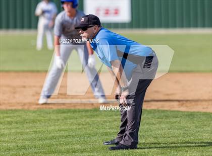 Thumbnail 3 in Brock @ Peaster photogallery.