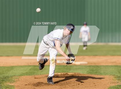 Thumbnail 1 in Brock @ Peaster photogallery.