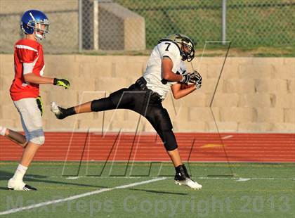 Thumbnail 2 in Fossil Ridge Gold @ Grapevine Red photogallery.