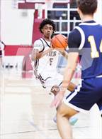 Photo from the gallery "Pine Bush @ Kingston"
