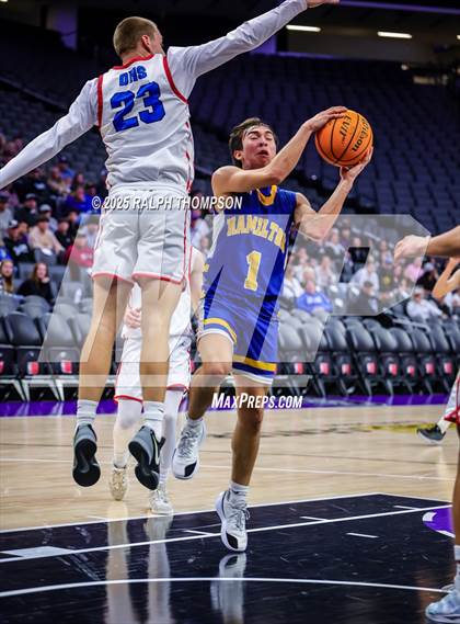 Thumbnail 3 in Hamilton vs. Durham (Golden 1 Center) photogallery.