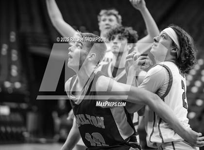 Thumbnail 2 in Hamilton vs. Durham (Golden 1 Center) photogallery.