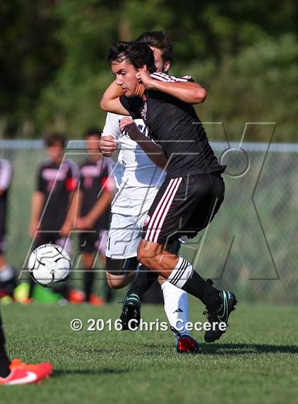 Thumbnail 3 in Penfield @ Gates Chili photogallery.