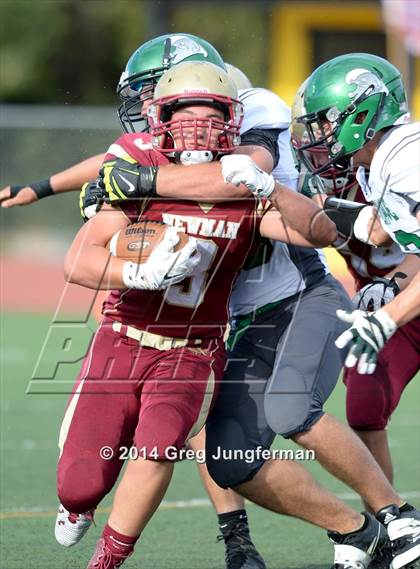 Thumbnail 2 in Churchill County vs. Cardinal Newman (Honor Bowl) photogallery.