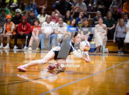 Thumbnail 1 in Jack Britt @ Cape Fear photogallery.