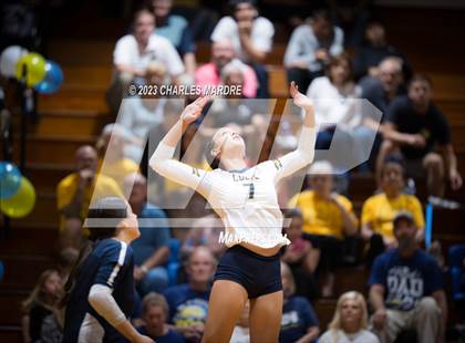Thumbnail 3 in Jack Britt @ Cape Fear photogallery.