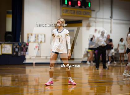 Thumbnail 1 in Jack Britt @ Cape Fear photogallery.